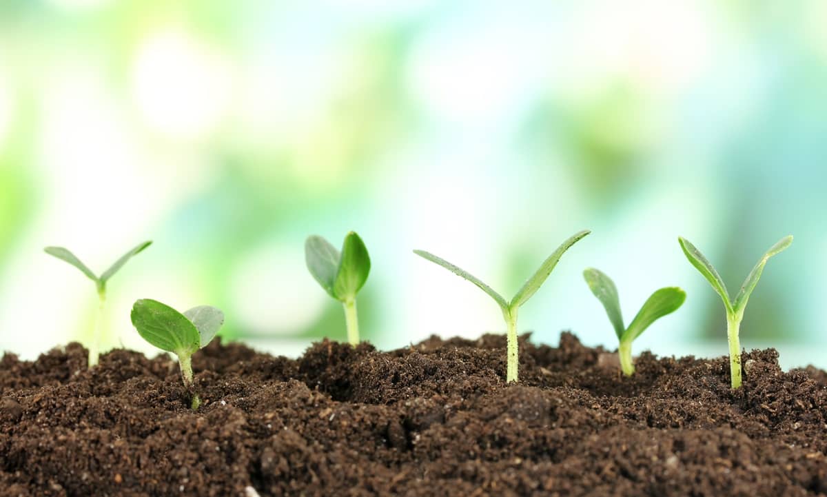 Unlocking Your Full Potential Workshop